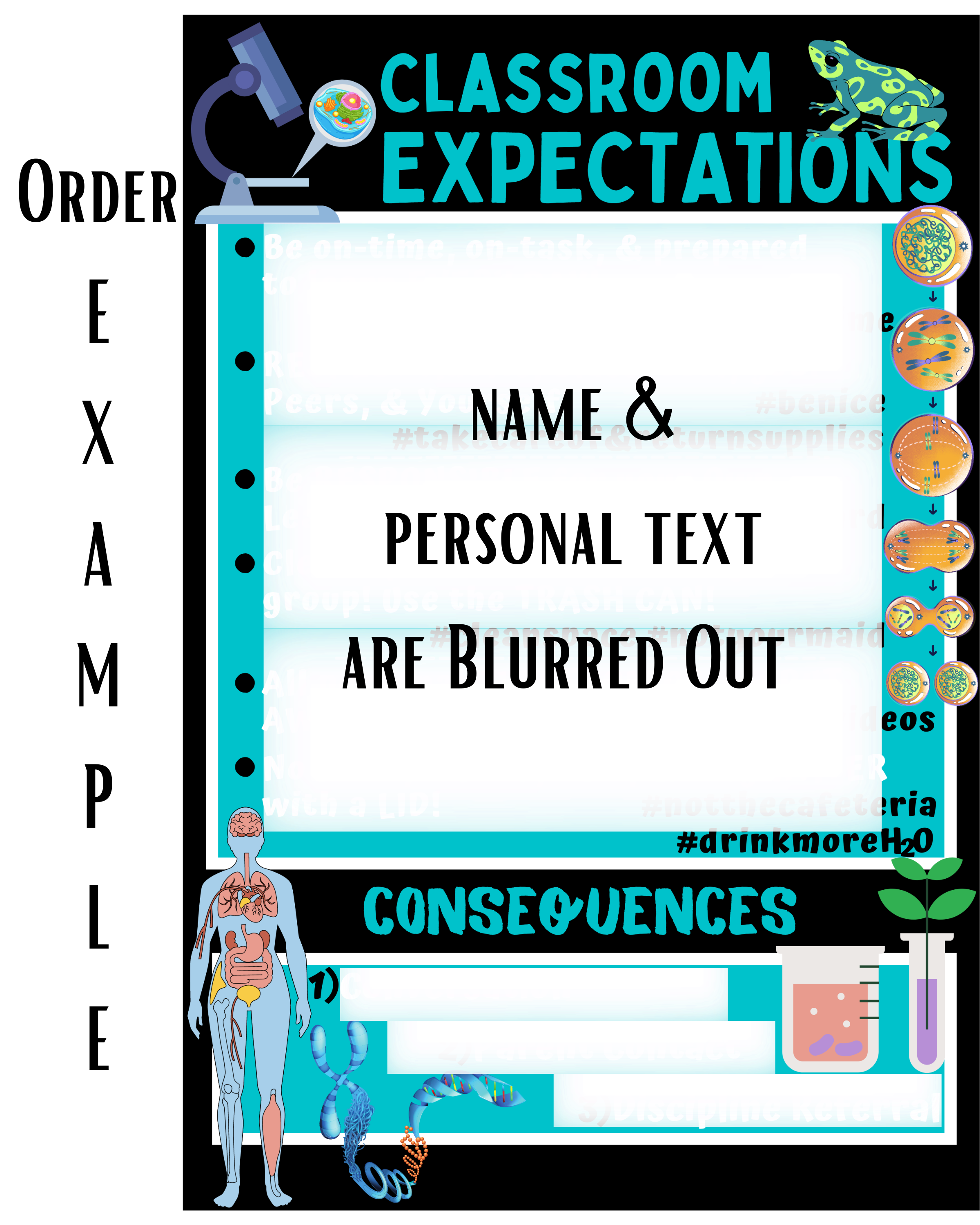 Personalized Classroom Expectations Poster | Custom Classroom Rules Sign | Teacher Classroom Decor | Printable Digital Download