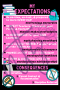 Classroom Expectations Poster | Middle & High School Classroom Rules | Printable Teacher Decor | Instant Digital Download | Pink Black Classroom Sign